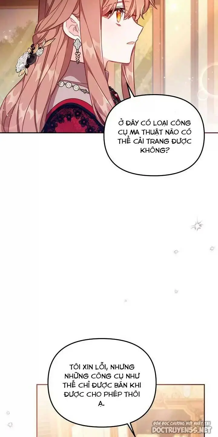Chapter 25