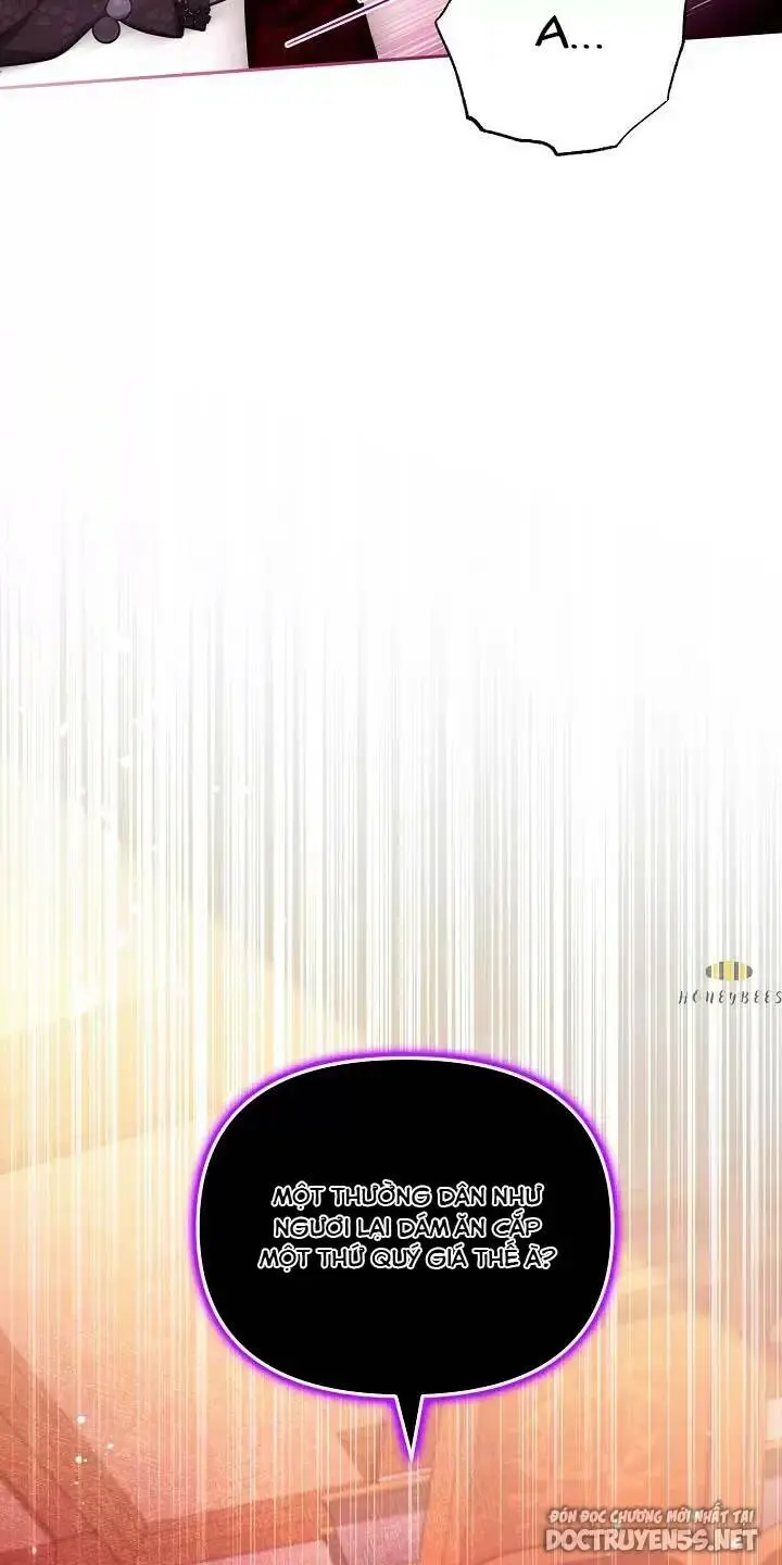 Chapter 25