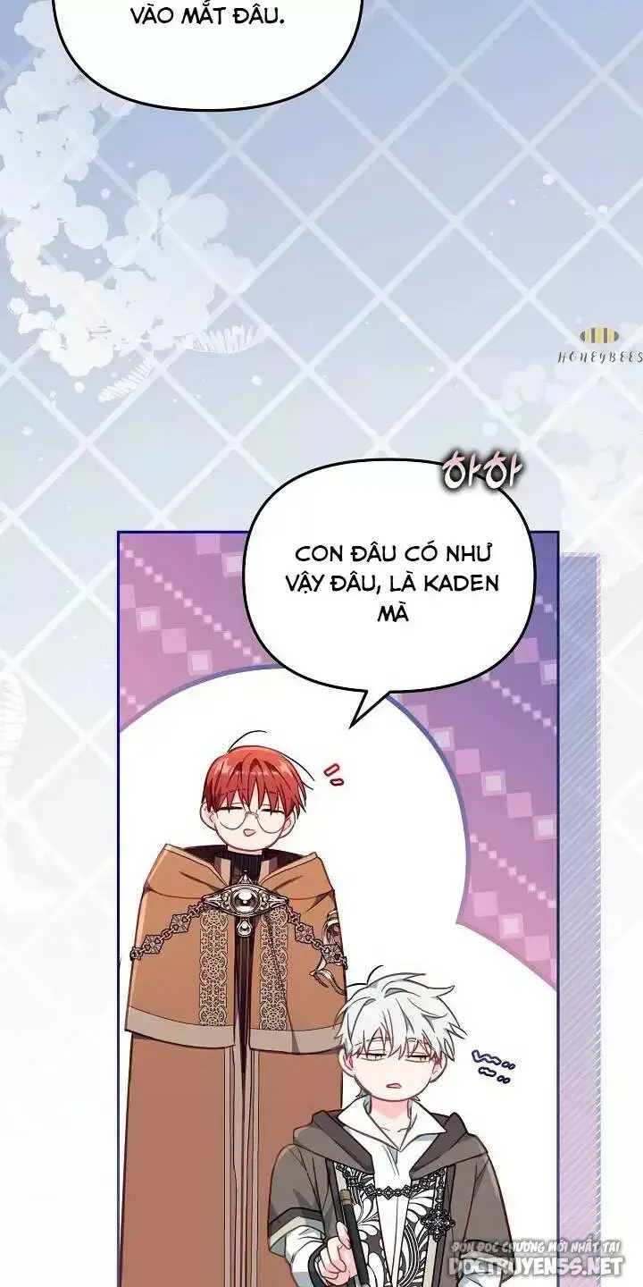 Chapter 25