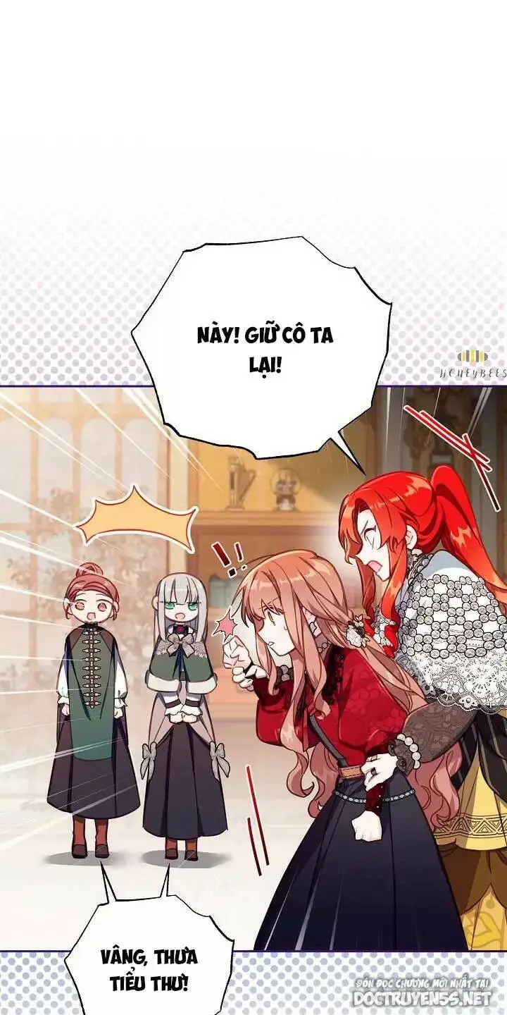Chapter 25