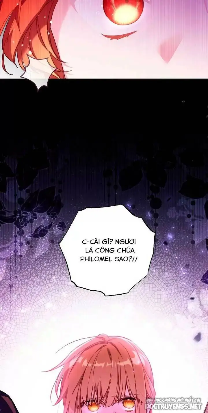 Chapter 25