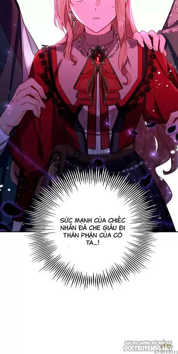 Chapter 25