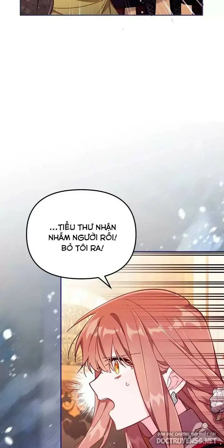 Chapter 25