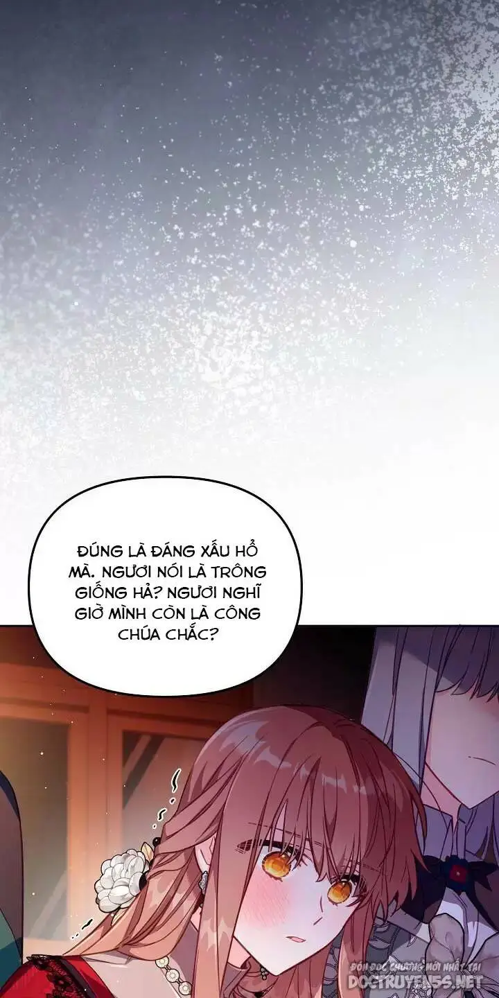 Chapter 25