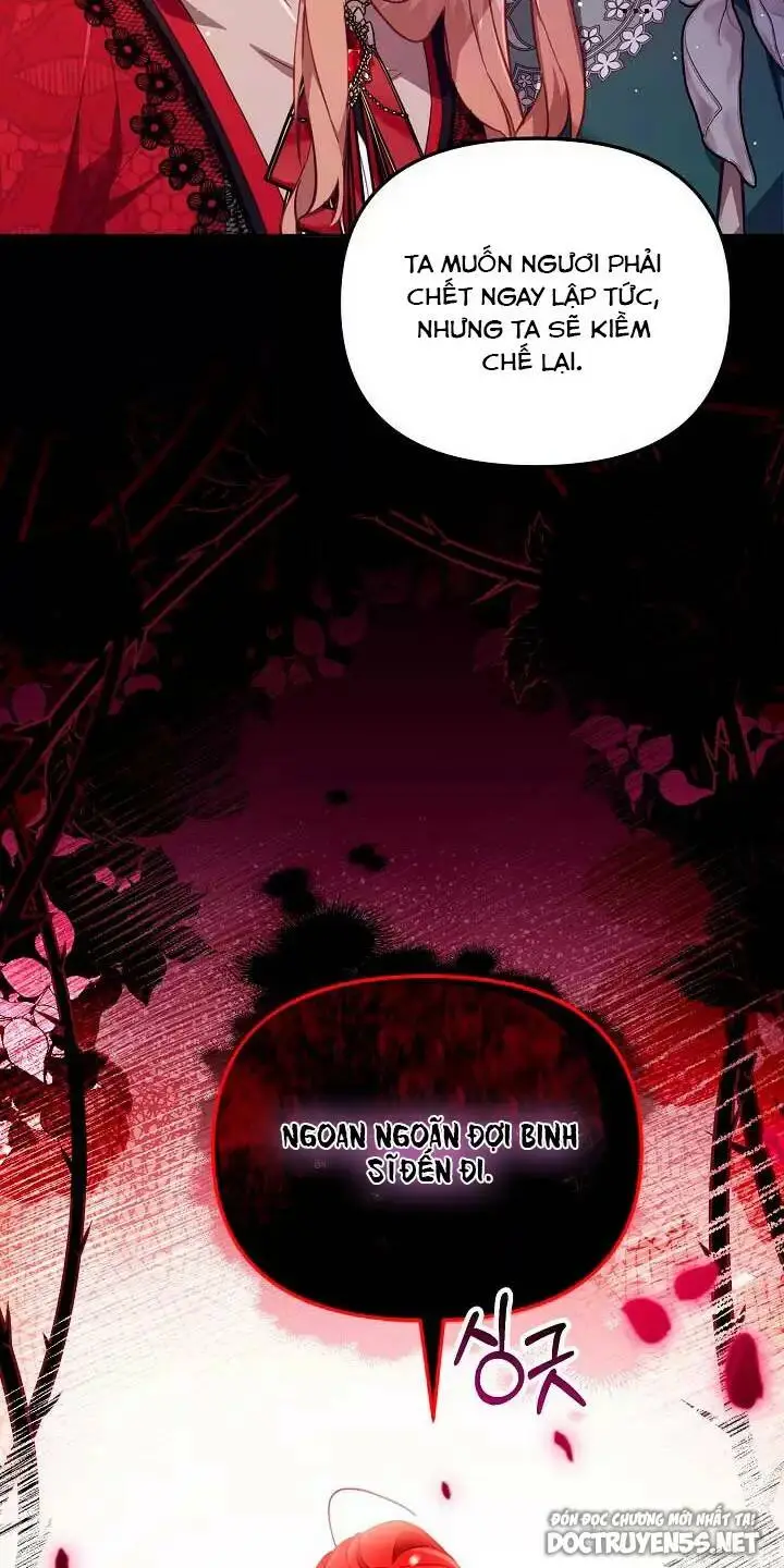 Chapter 25