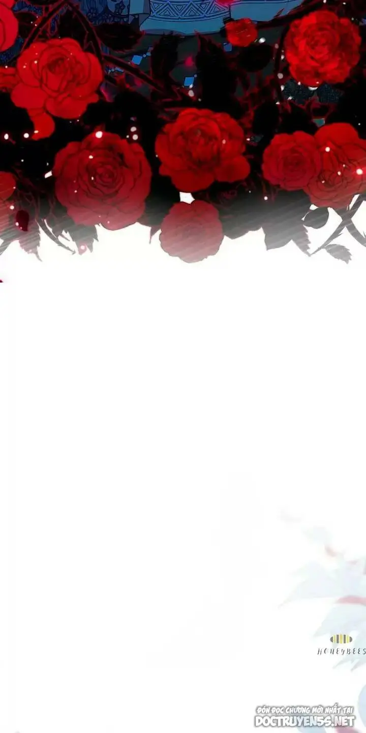 Chapter 25