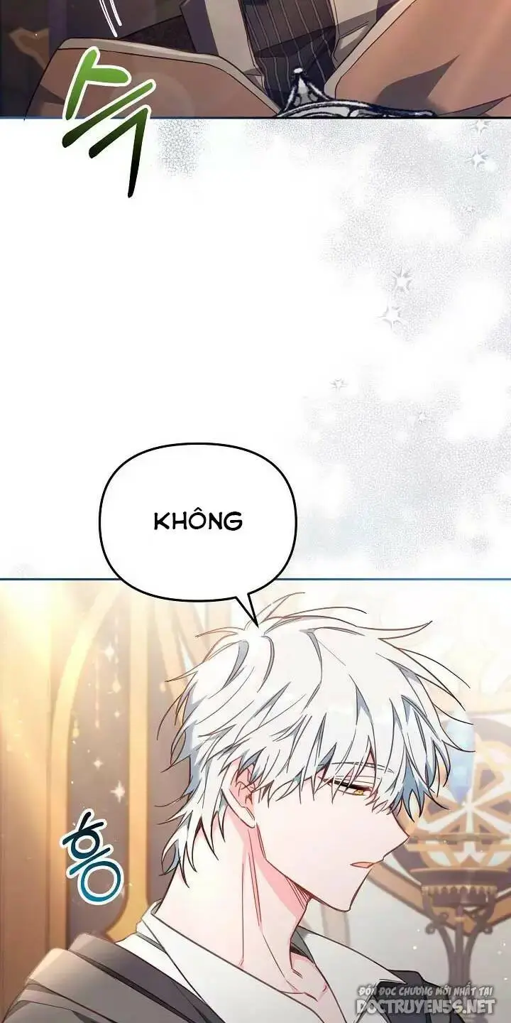 Chapter 25