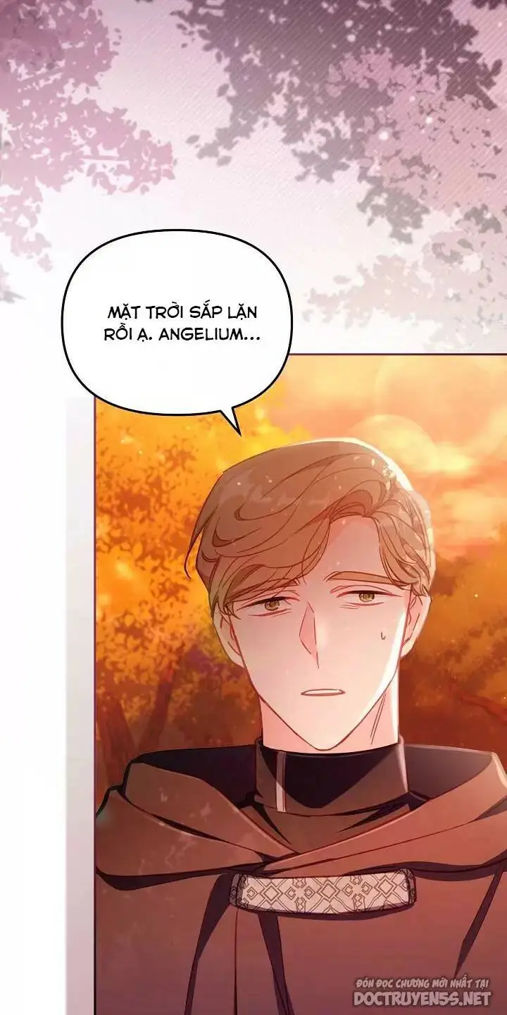 Chapter 25