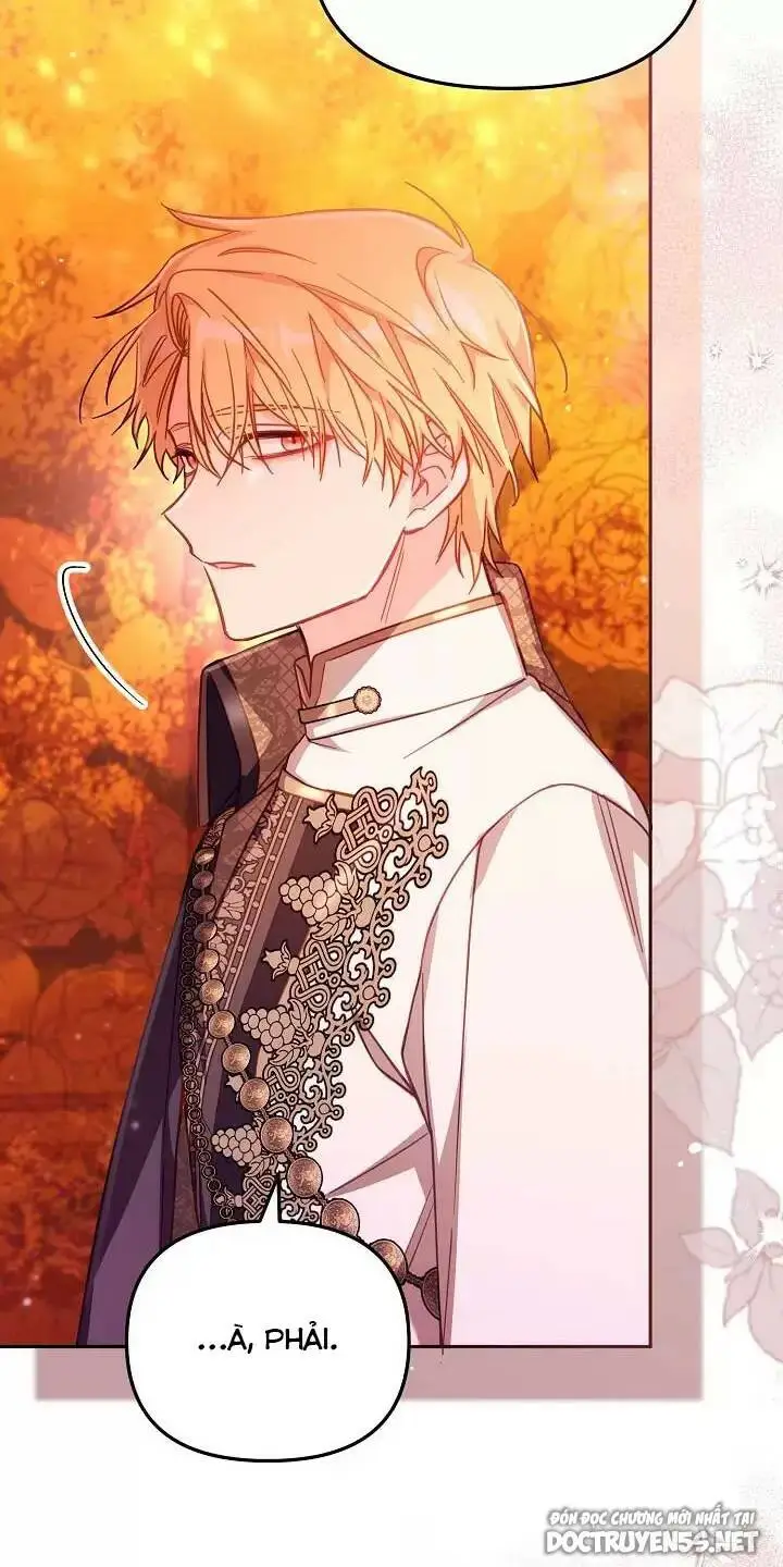 Chapter 25