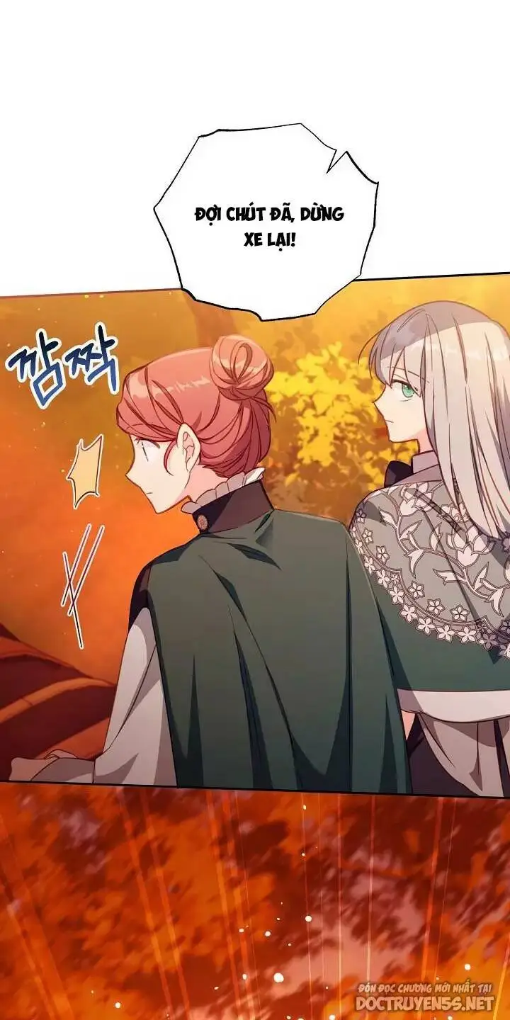 Chapter 25