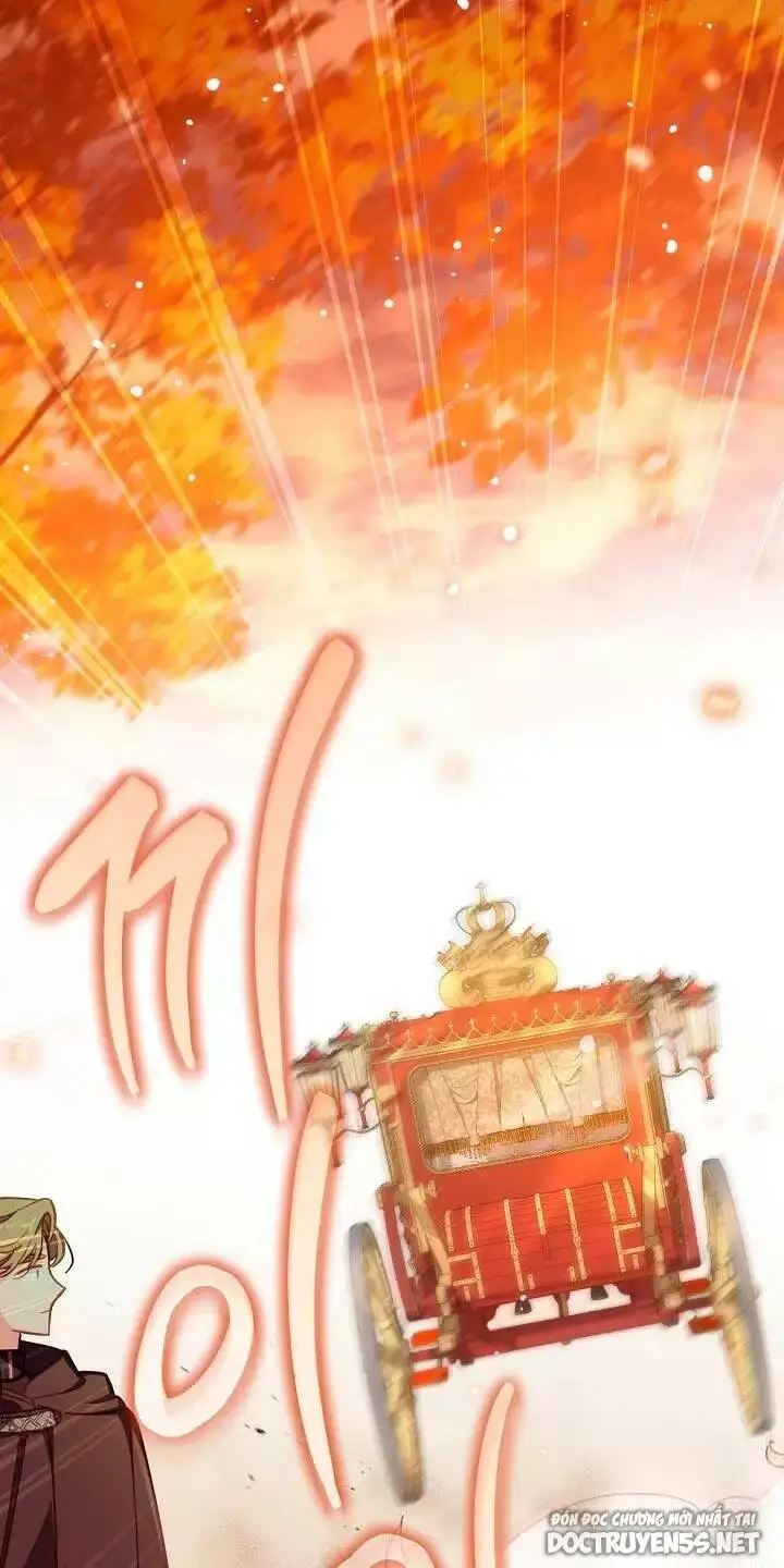 Chapter 25