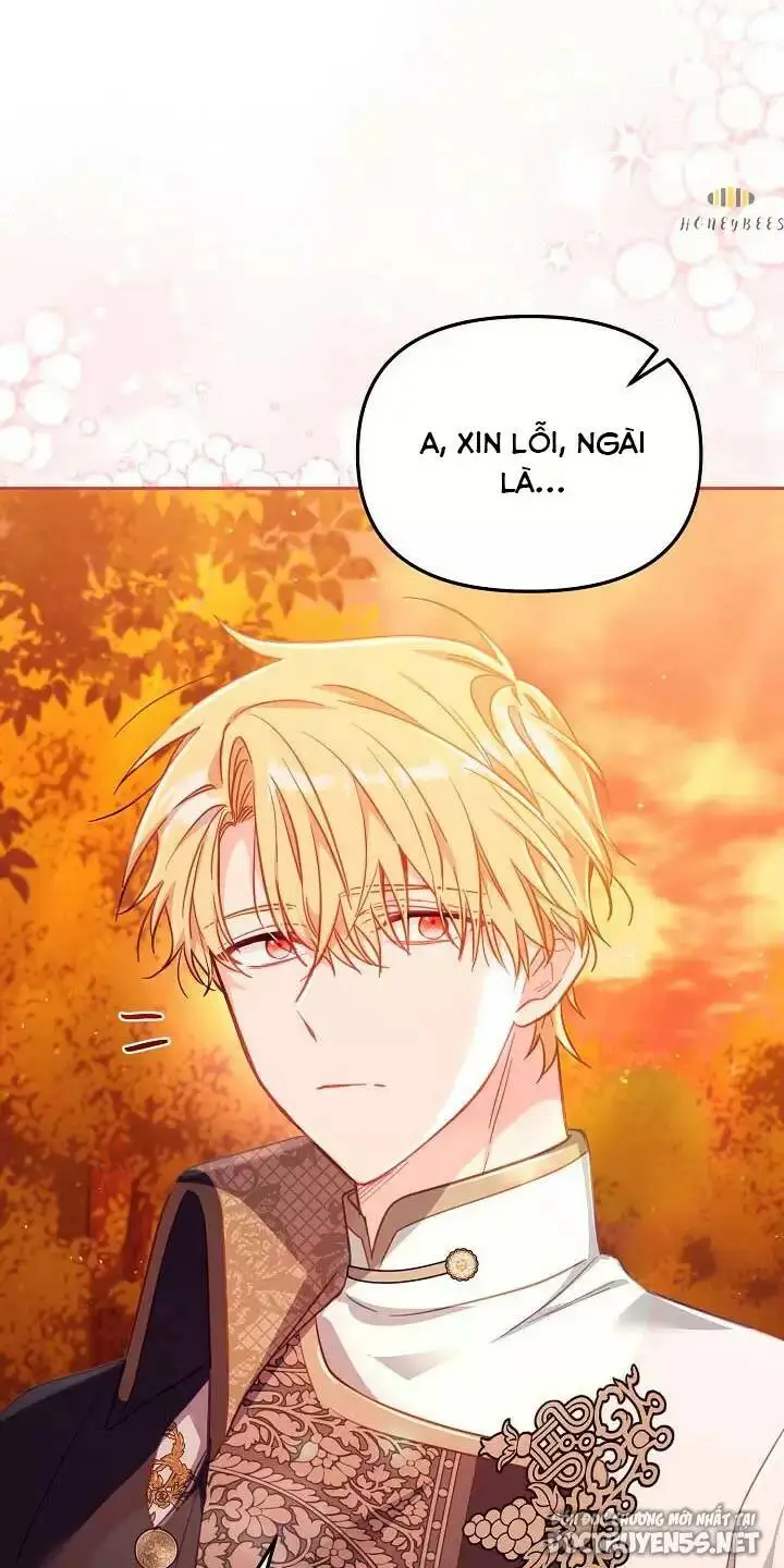 Chapter 25
