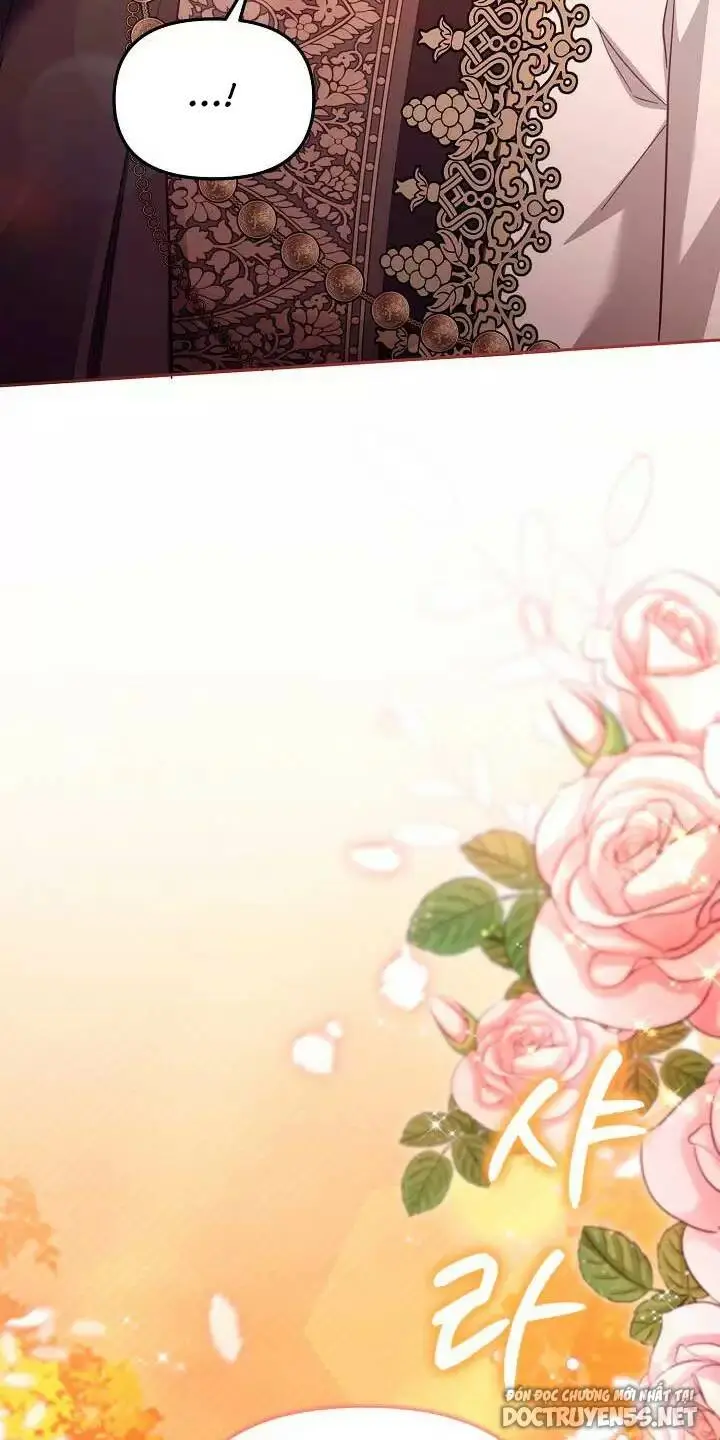 Chapter 25