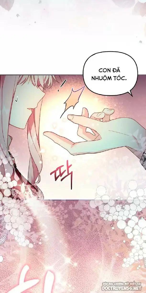 Chapter 24