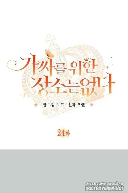 Chapter 24