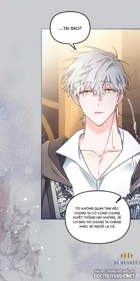Chapter 24