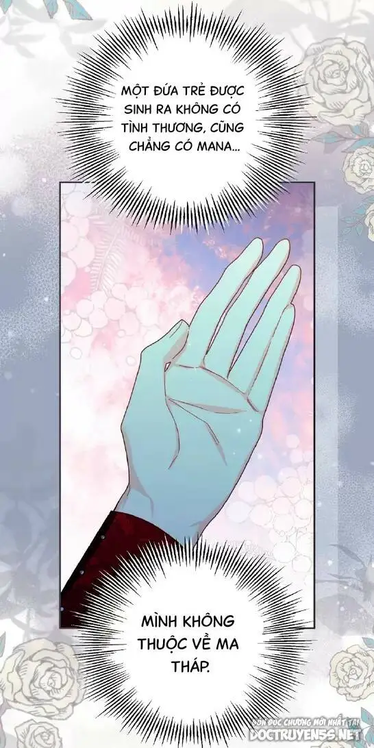 Chapter 24