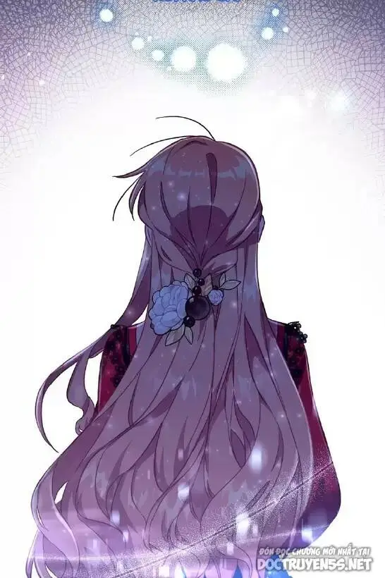 Chapter 24