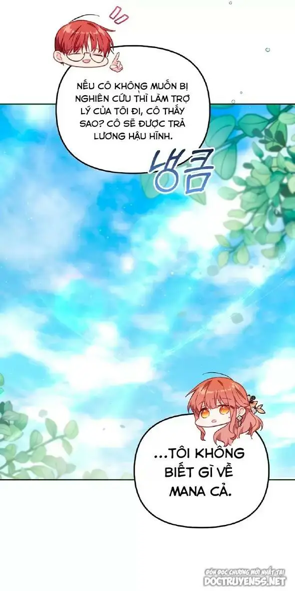 Chapter 24