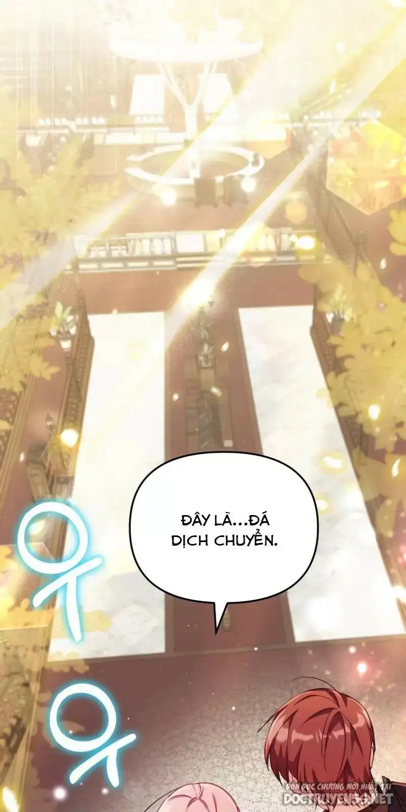 Chapter 23