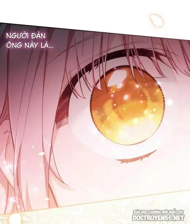 Chapter 23