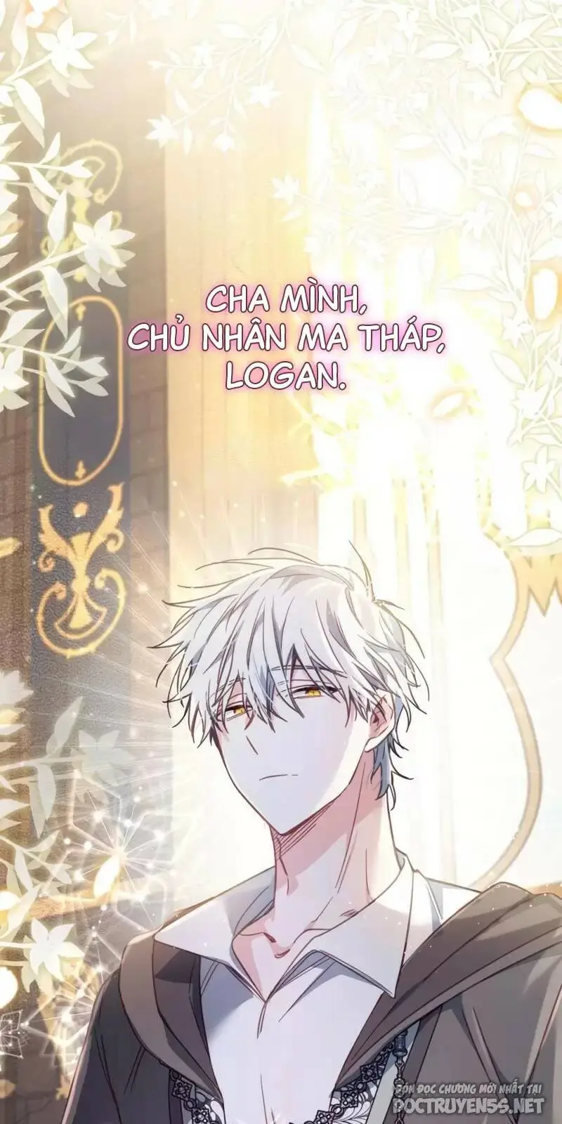 Chapter 23