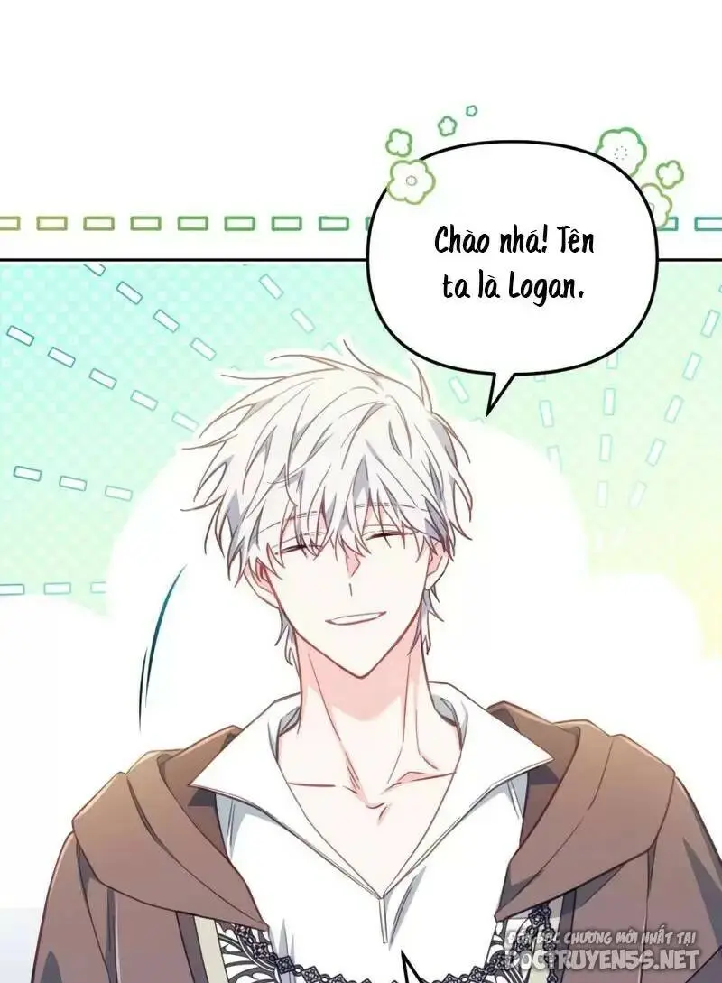 Chapter 23