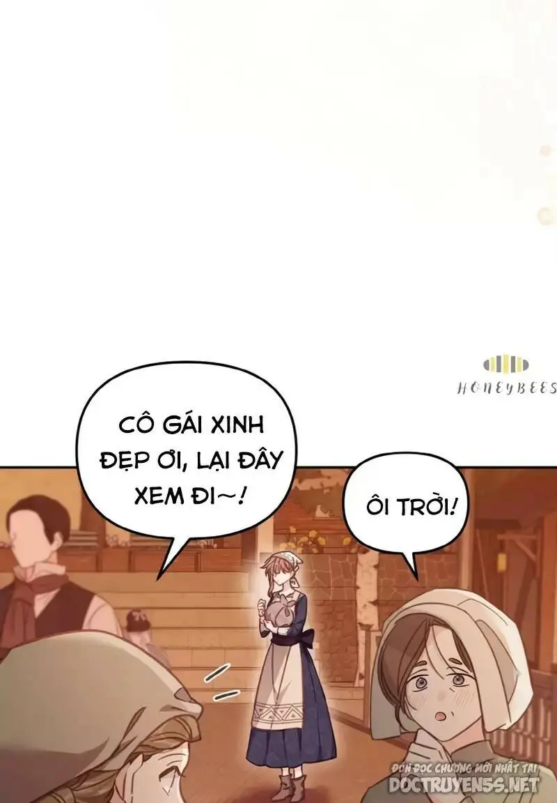 Chapter 20
