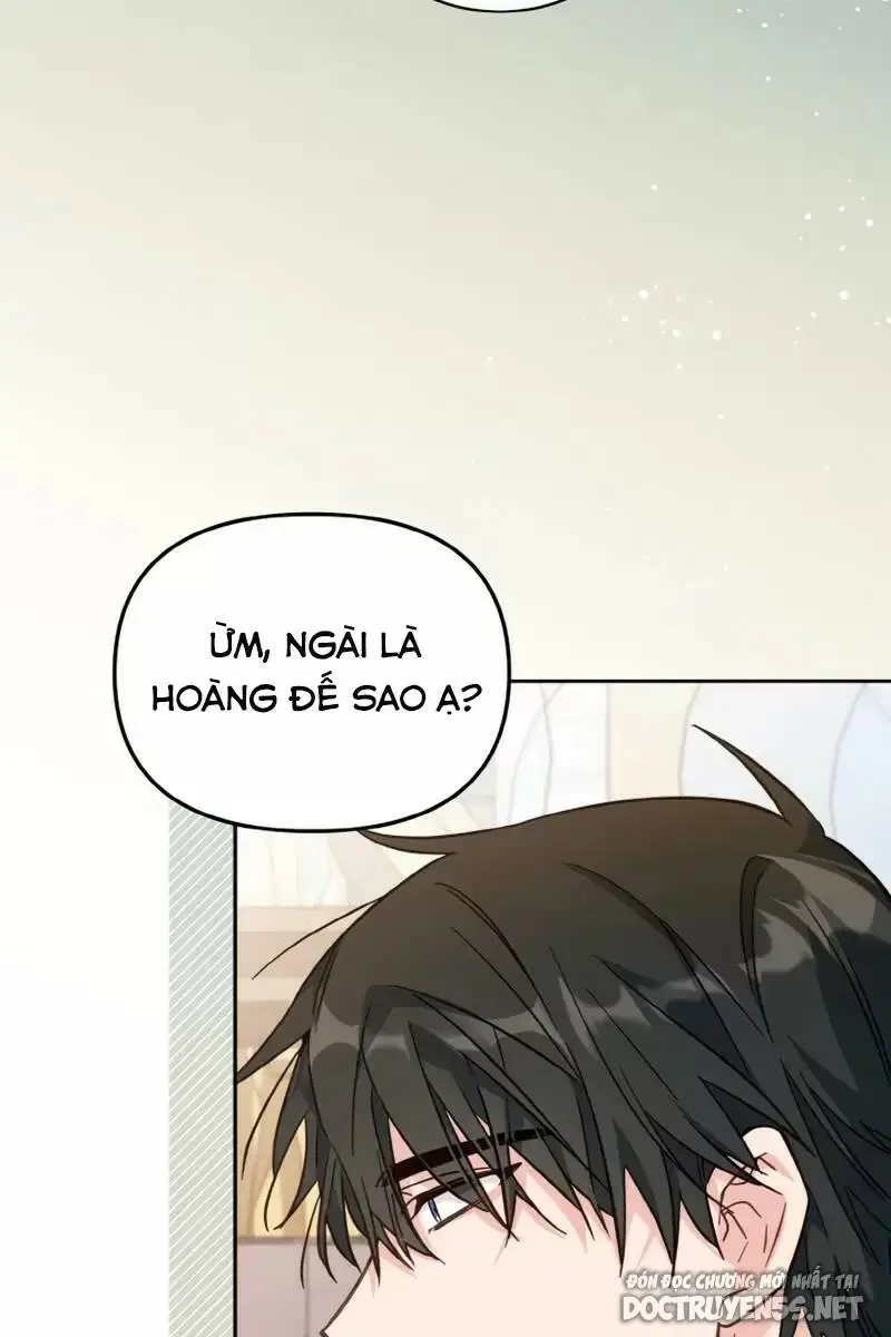 Chapter 20