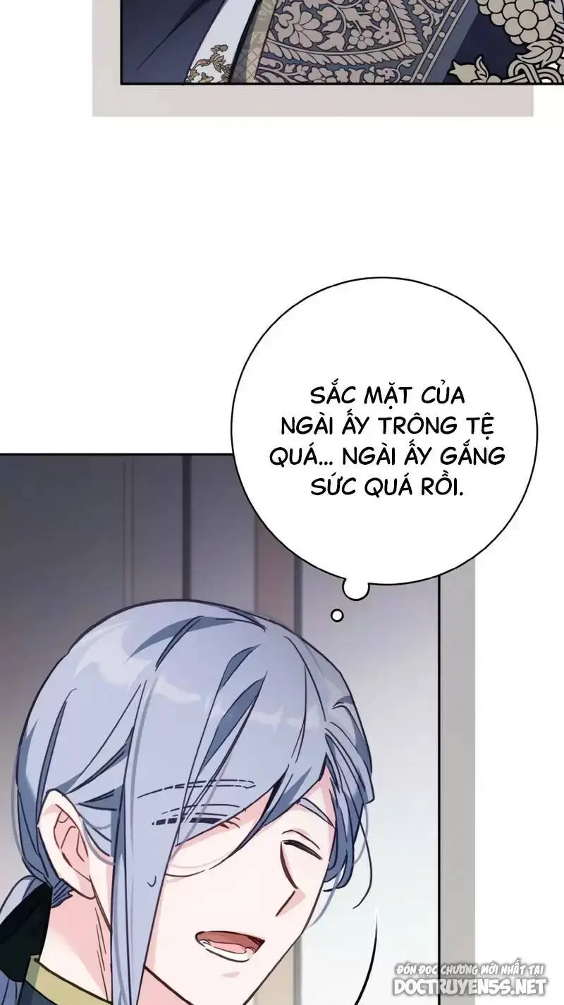Chapter 20