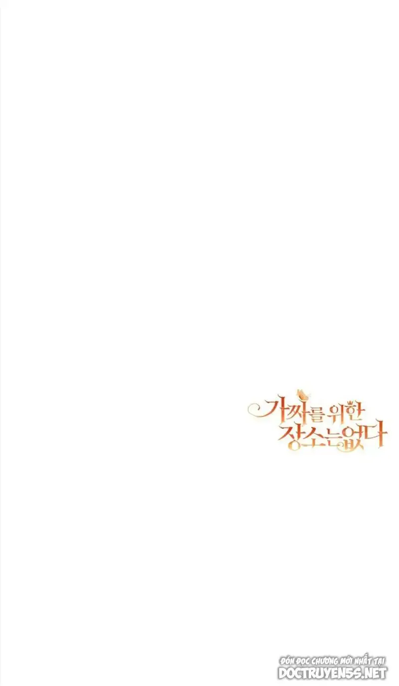 Chapter 20