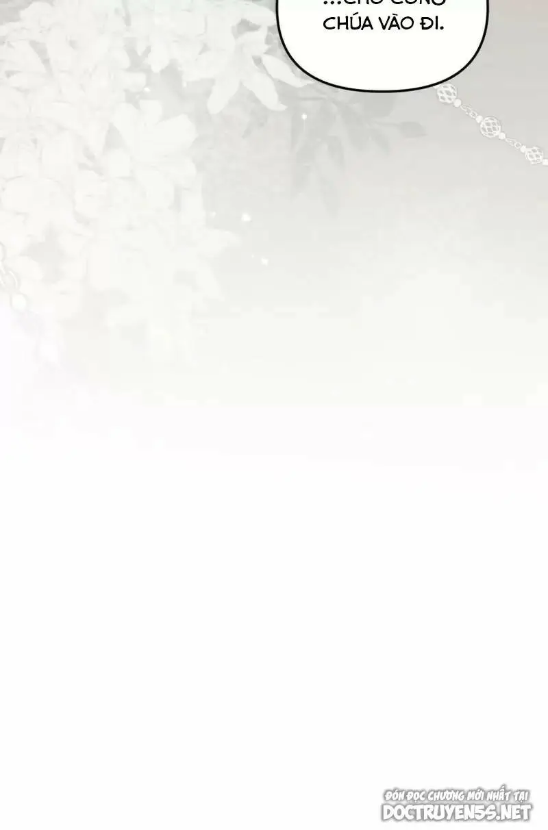 Chapter 19