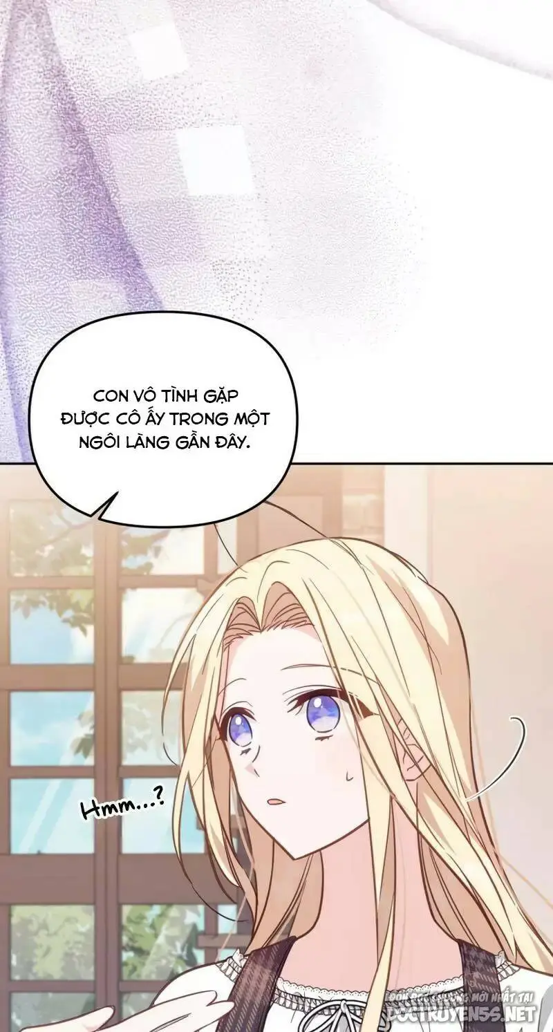 Chapter 19