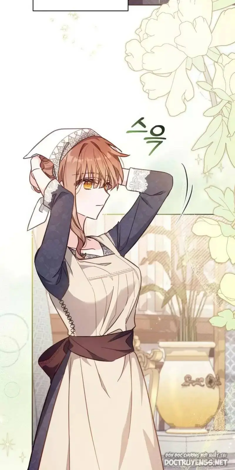 Chapter 19