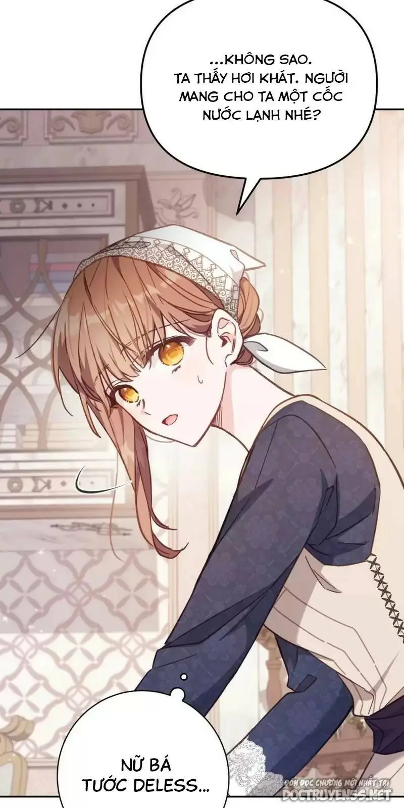 Chapter 19