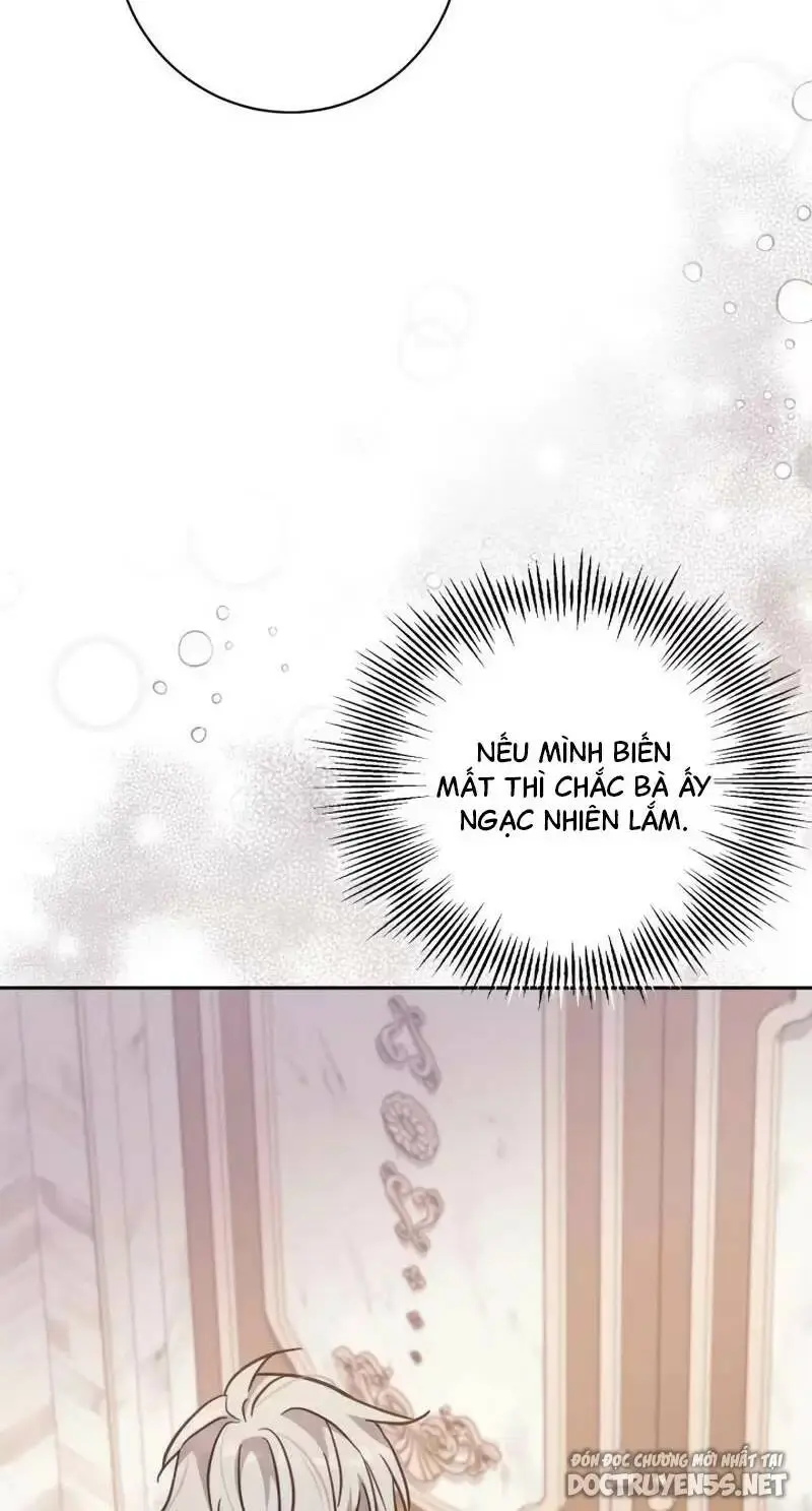 Chapter 19