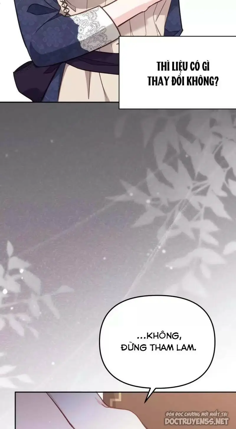 Chapter 19