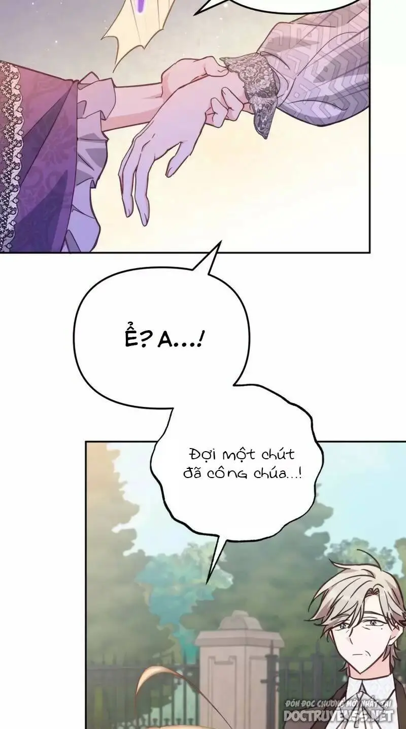 Chapter 19