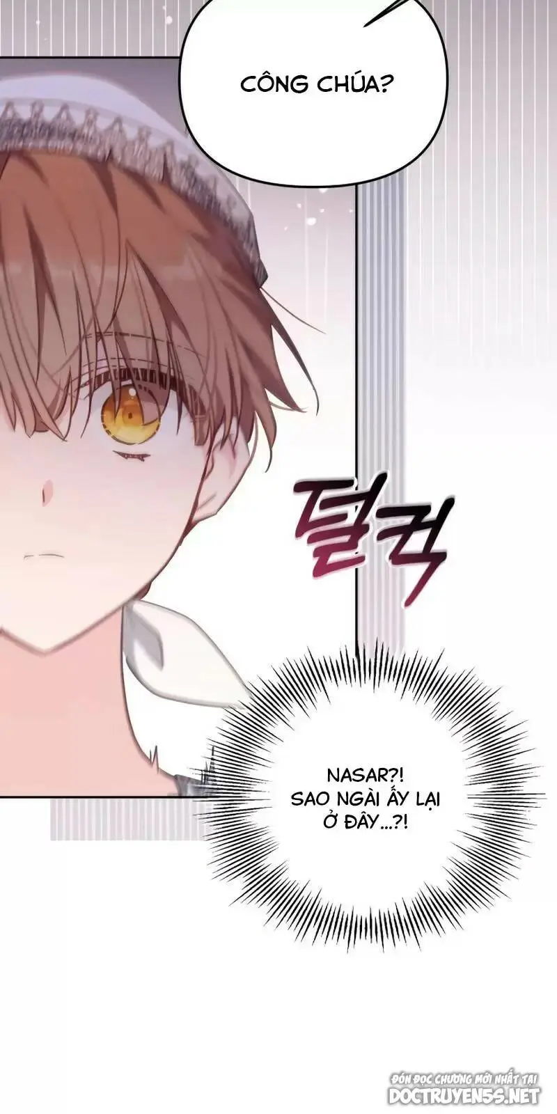 Chapter 19