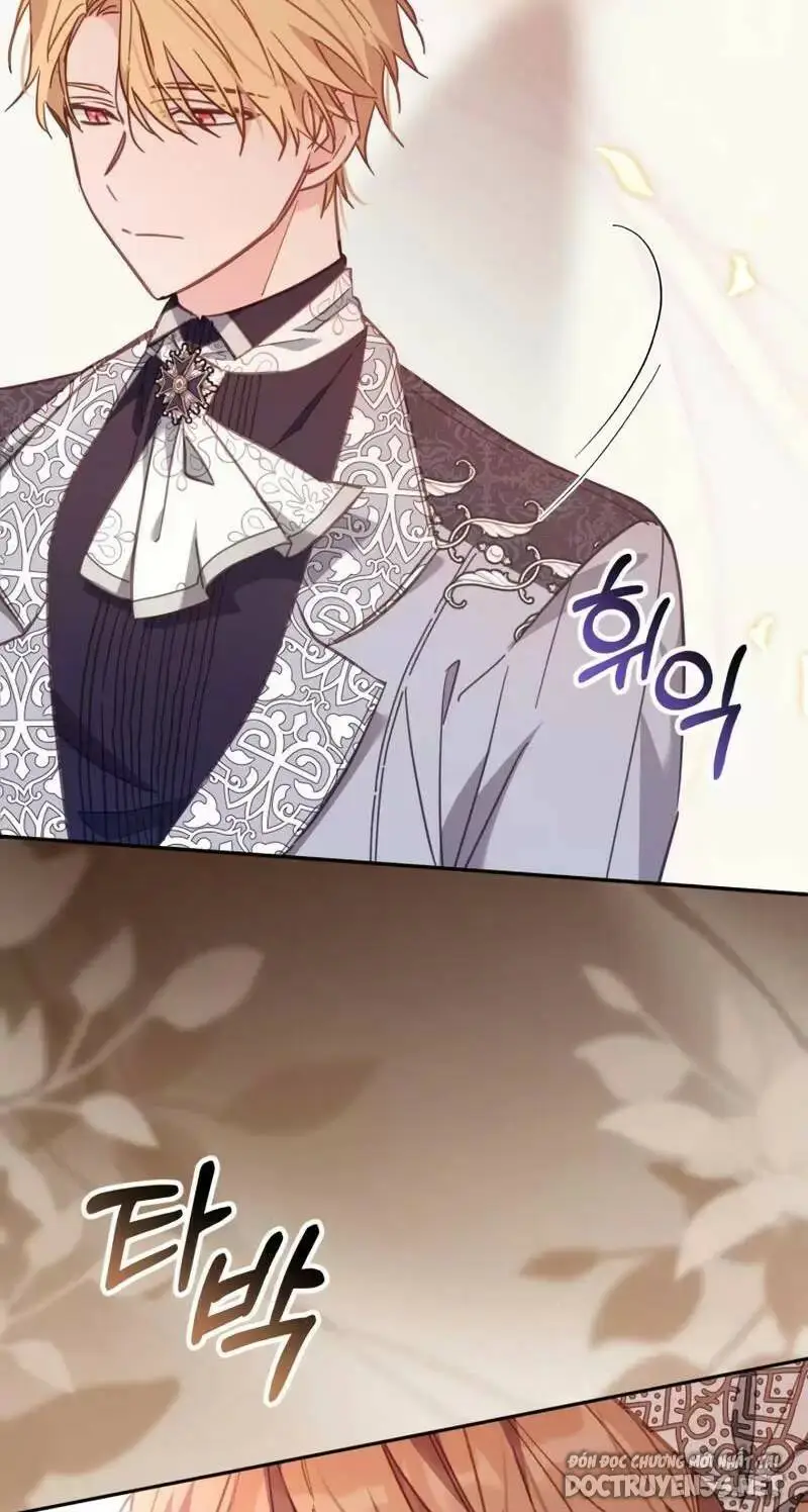 Chapter 19