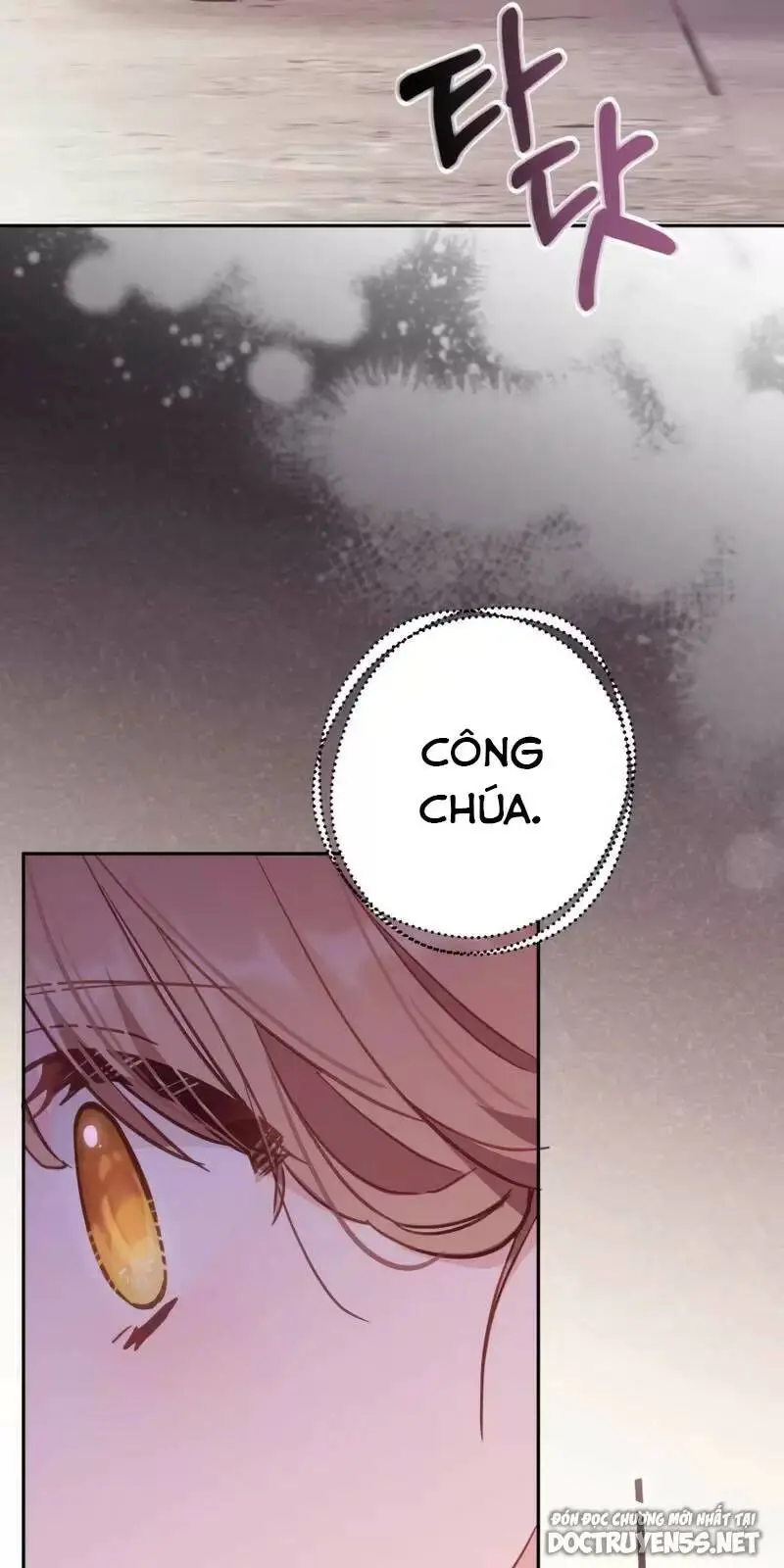 Chapter 19