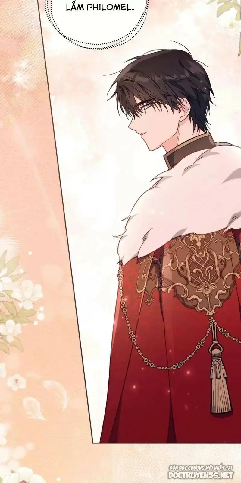 Chapter 19