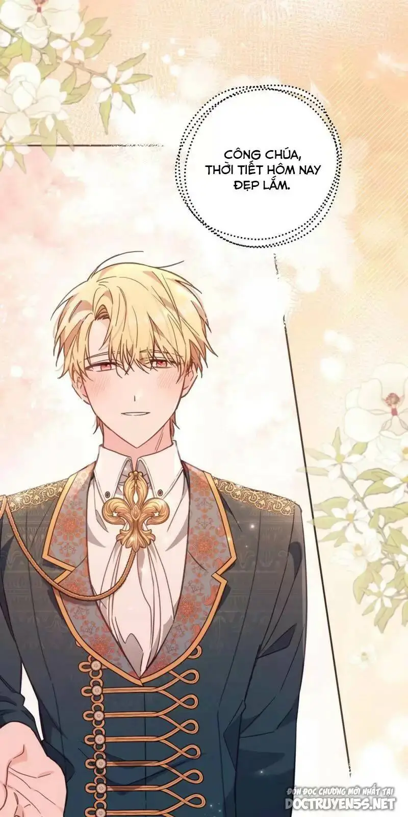 Chapter 19