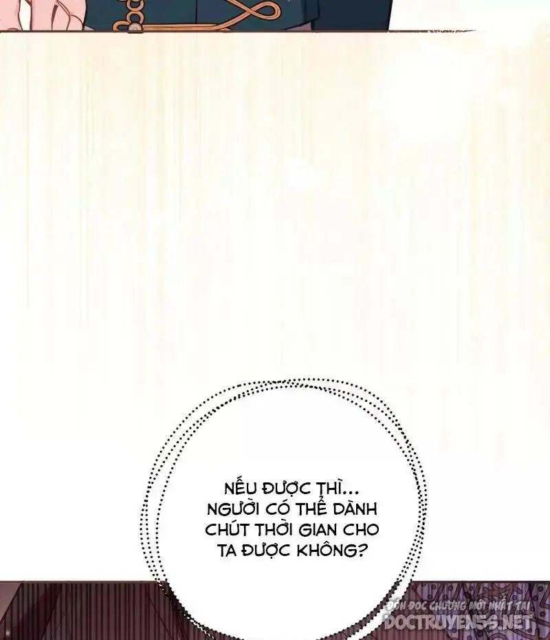 Chapter 19