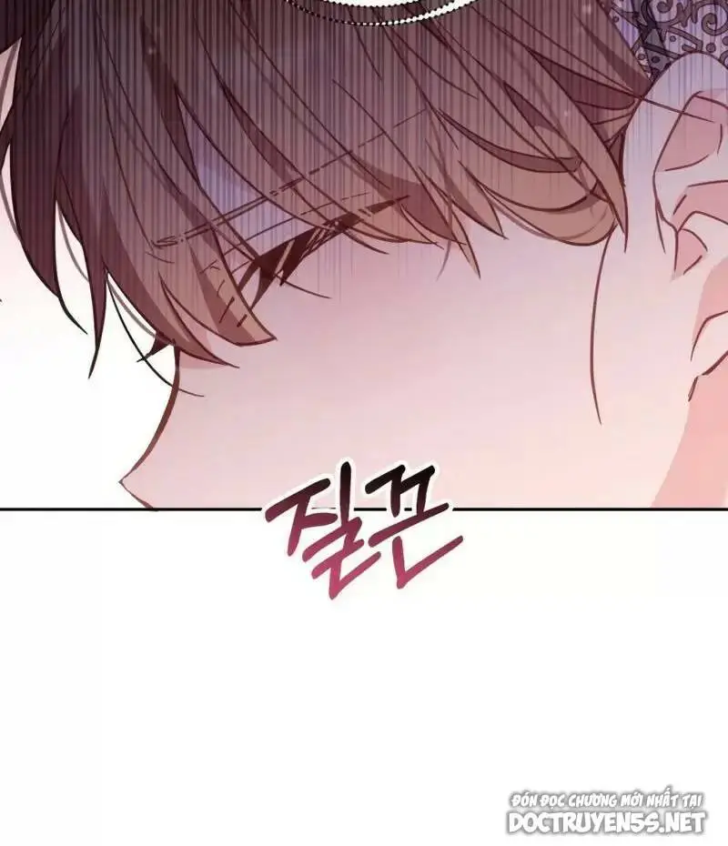 Chapter 19