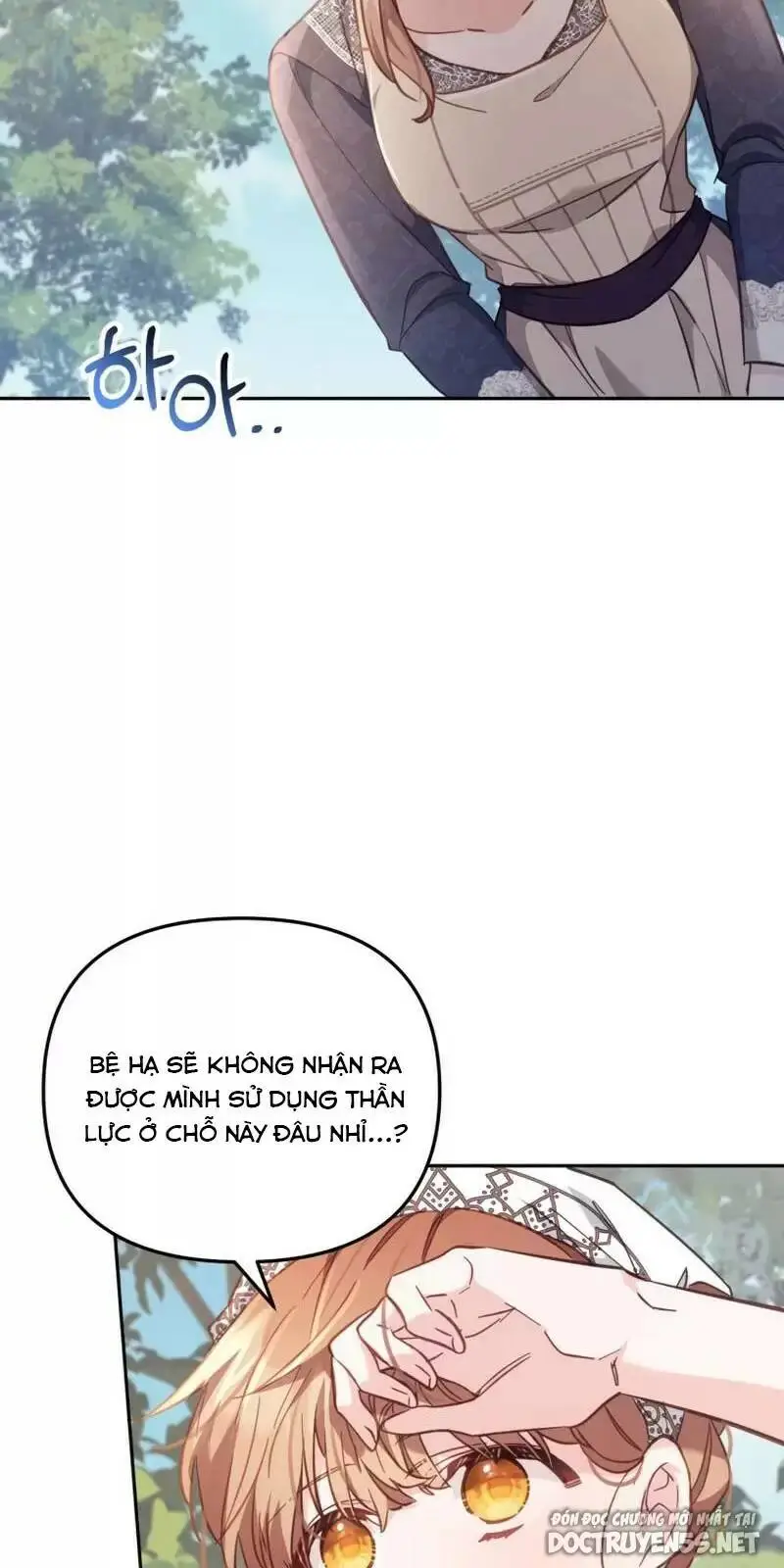 Chapter 19