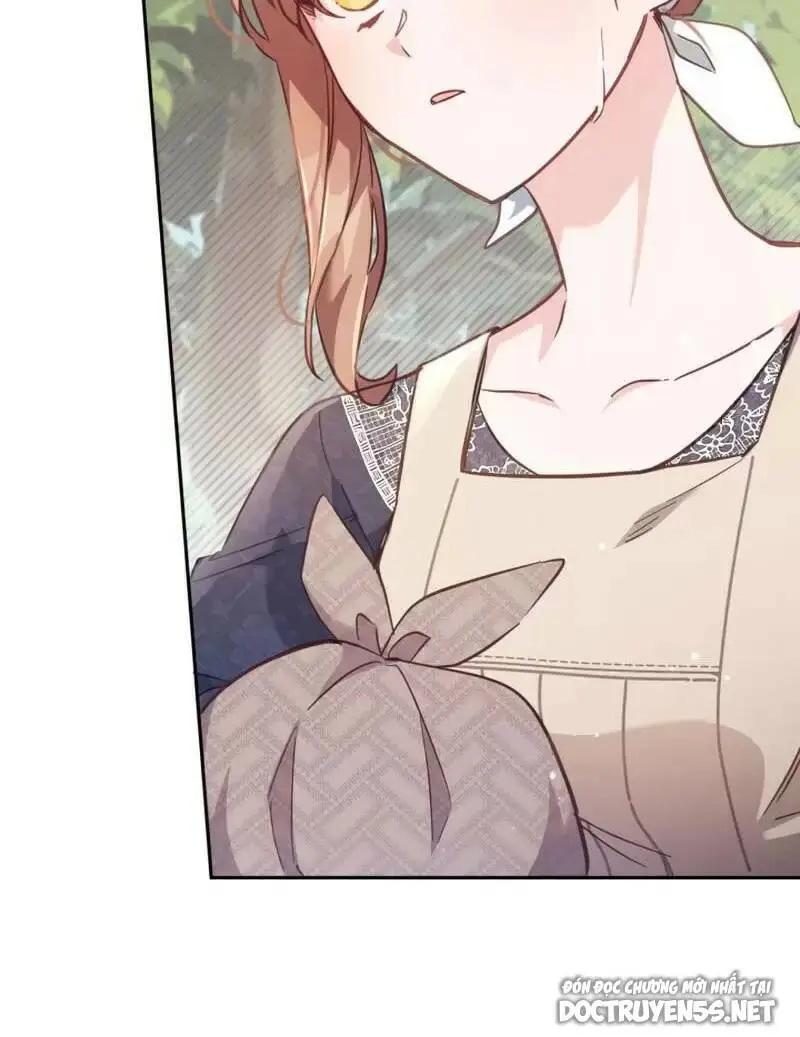 Chapter 19