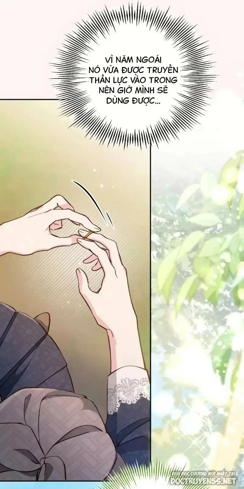 Chapter 19