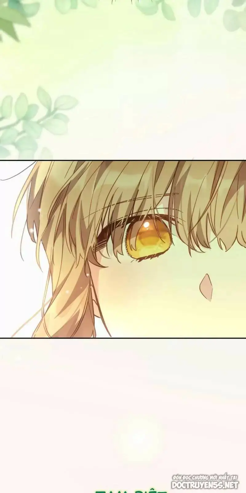 Chapter 19