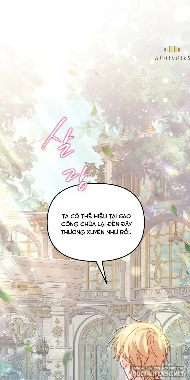 Chapter 17